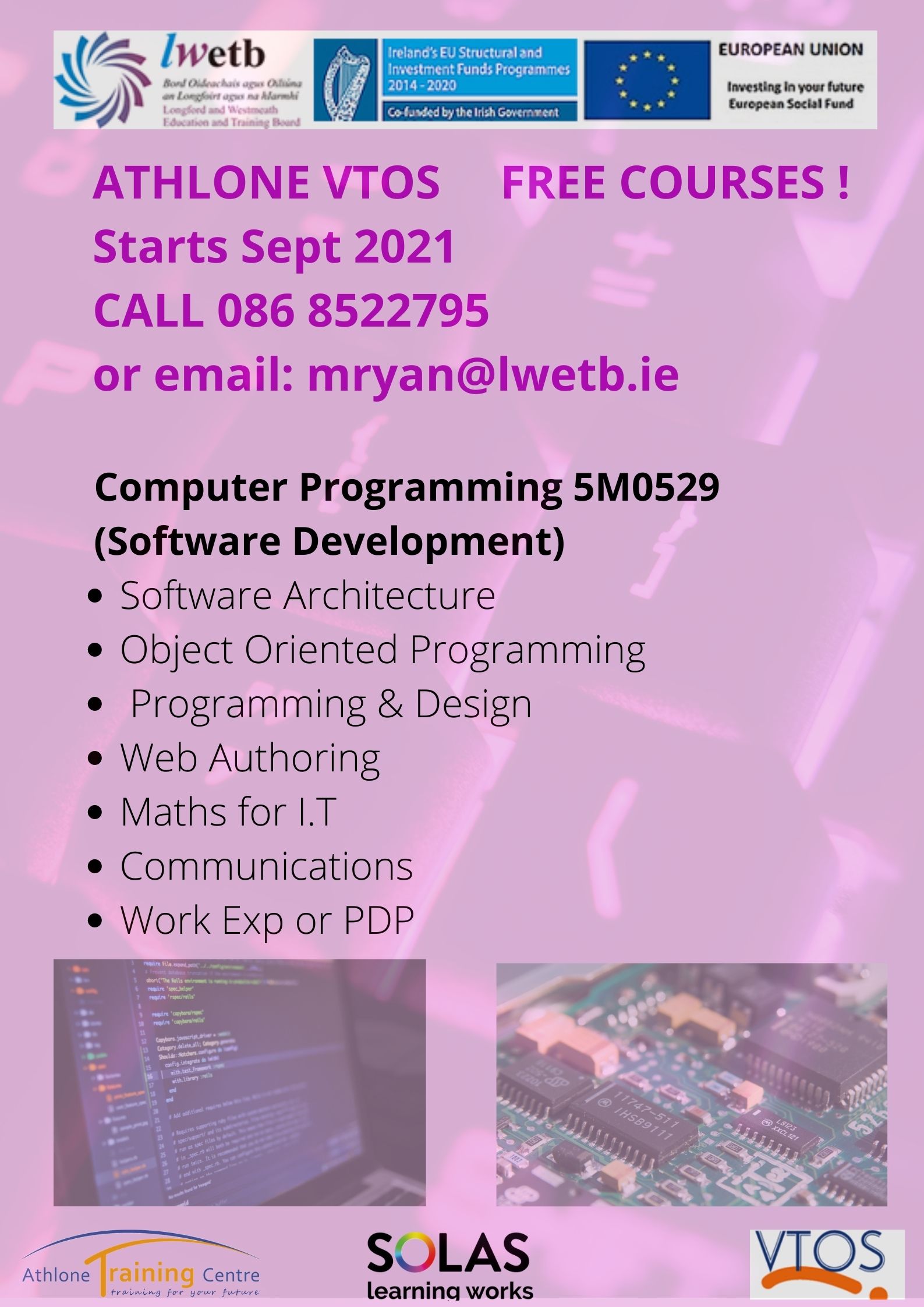 Software Development Flyer